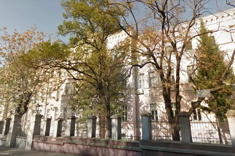 Vascular surgery team